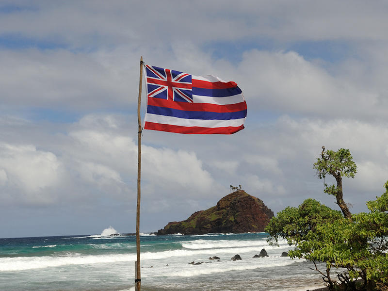 Flag of Hawaii on the sea shore